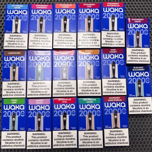 WAKA 20000 SoPro Blueberry Rasberry mint