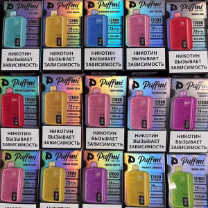 Puffmi Rock 12000 Cool Mint