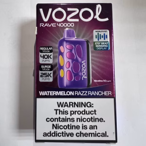 Vozol Rave 40000 (EN)