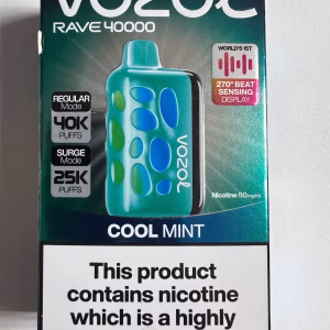 Vozol Rave 40000 Cool Mint